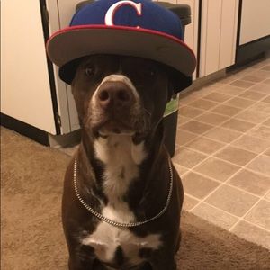 Meet your Posher, Diana